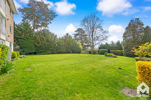 Photo 17- click for photo gallery